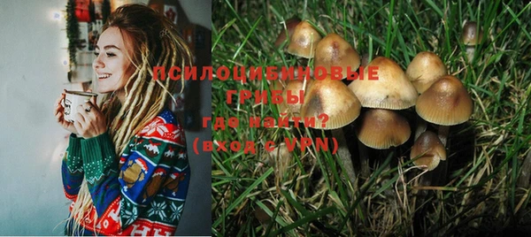 стаф Алзамай