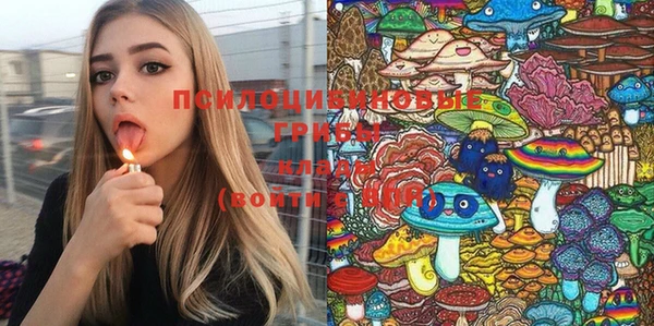 ГАЛЛЮЦИНОГЕННЫЕ ГРИБЫ Армянск