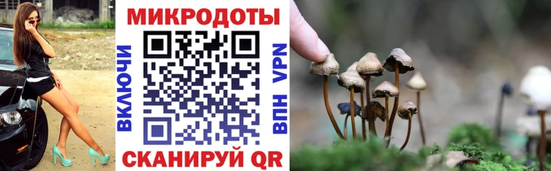 ОМГ ОМГ онион  как найти   Кочубеевское  Псилоцибиновые грибы Psilocybe 