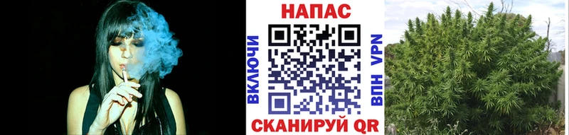 Шишки марихуана MAZAR  Кочубеевское 